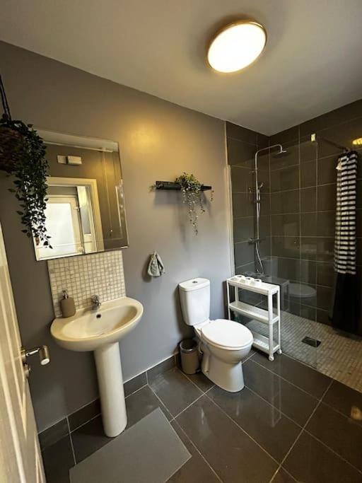 בלפסט Vibrant City Centre Townhouse With Free Parking Rare Outdoor Patio מראה חיצוני תמונה